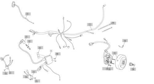 SPARK PLUG ANTIPARASITE HOMOL